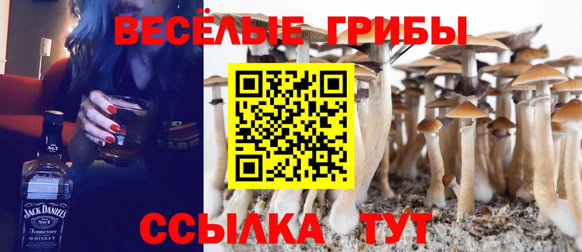 купить наркотик  Псилоцибиновые грибы Psilocybine cubensis  Вход с VPN  Бугуруслан 